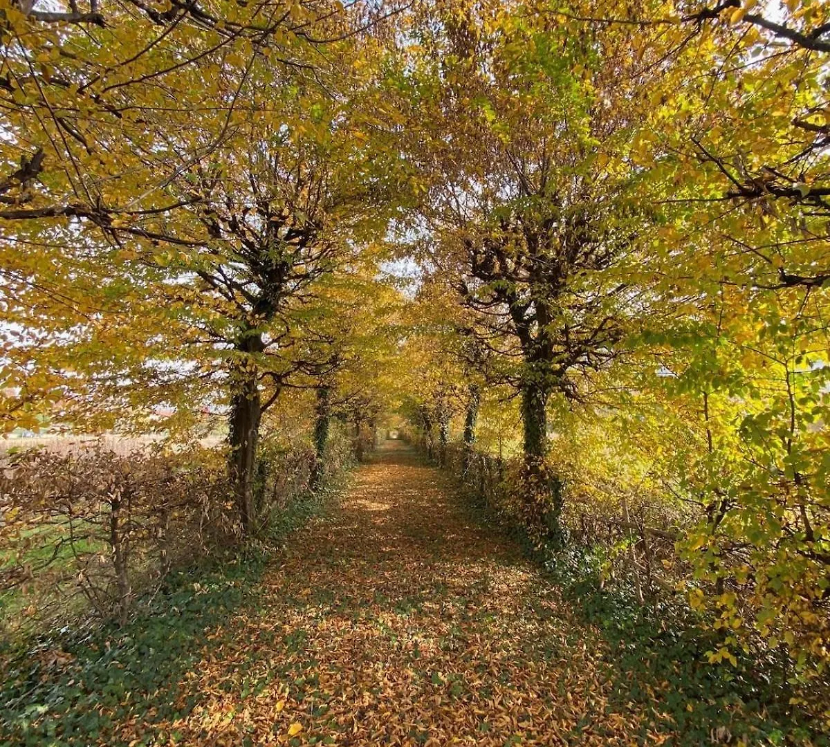 Il Dondolo Di Villa Carlotta Mozzo Italy